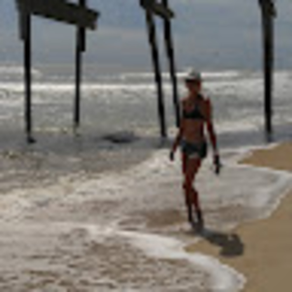 Meet your Posher, Penni